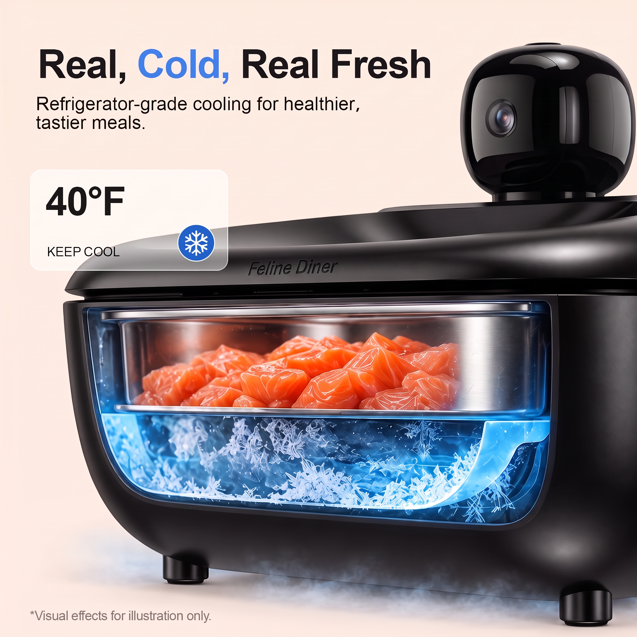 Feline Diner Pro 5 detail