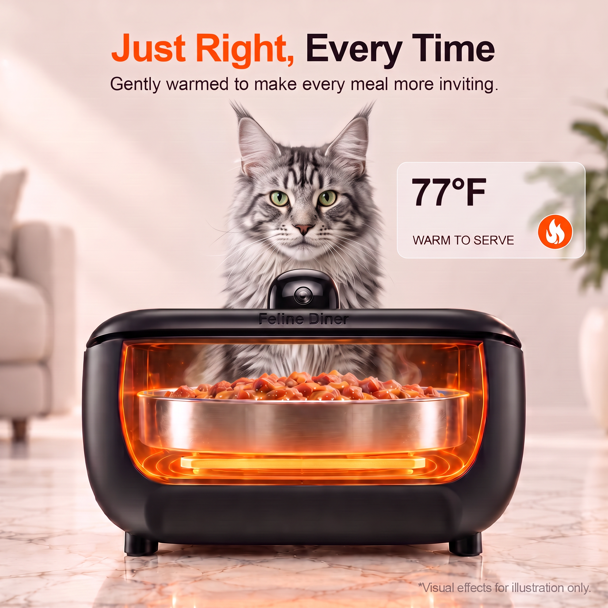 Feline Diner Pro 5 detail